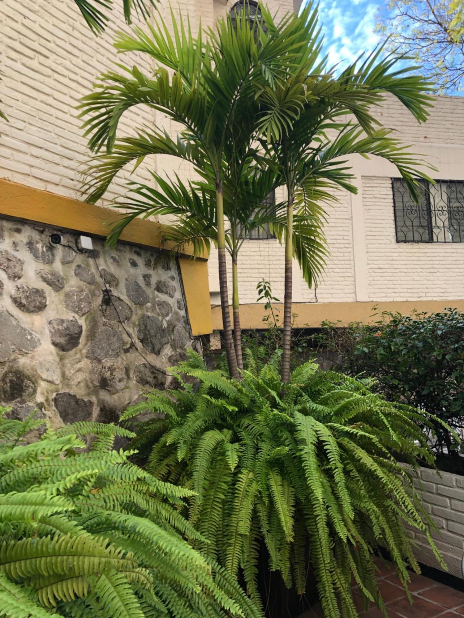 Hotel Ilebal Cuernavaca Centro - Lugar Con Encanto! Екстер'єр фото