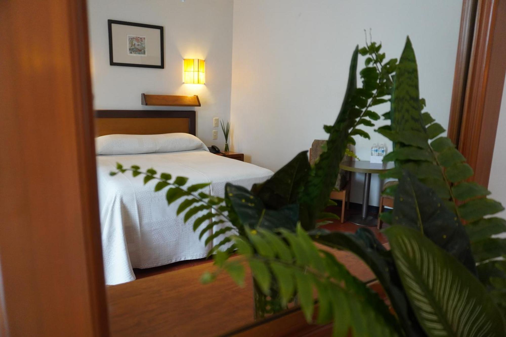 Hotel Ilebal Cuernavaca Centro - Lugar Con Encanto! Екстер'єр фото
