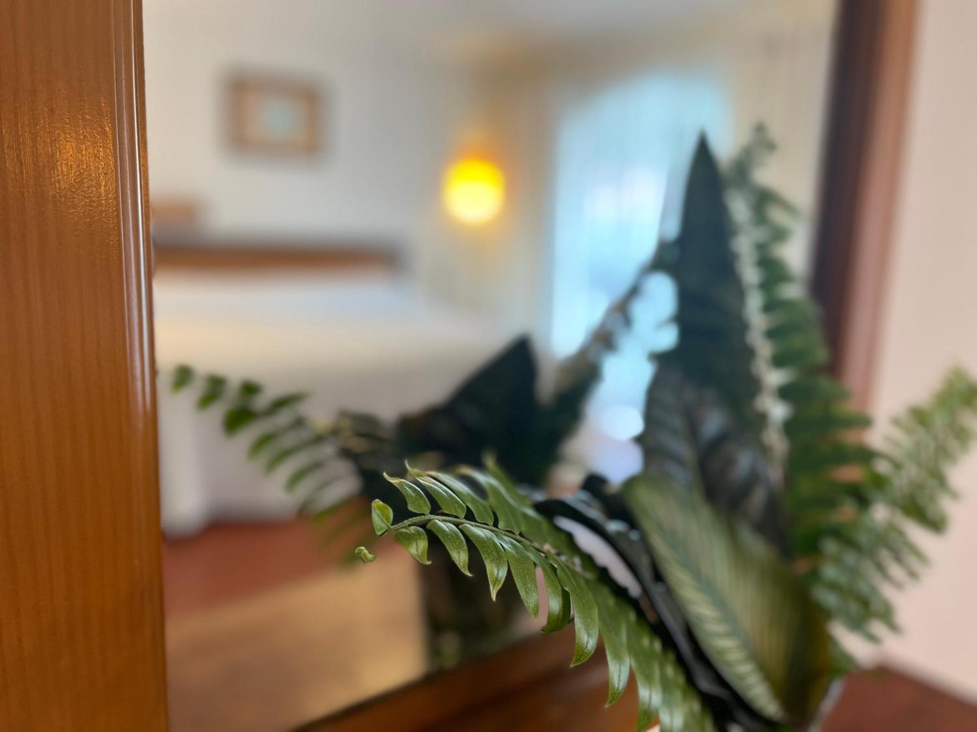 Hotel Ilebal Cuernavaca Centro - Lugar Con Encanto! Екстер'єр фото