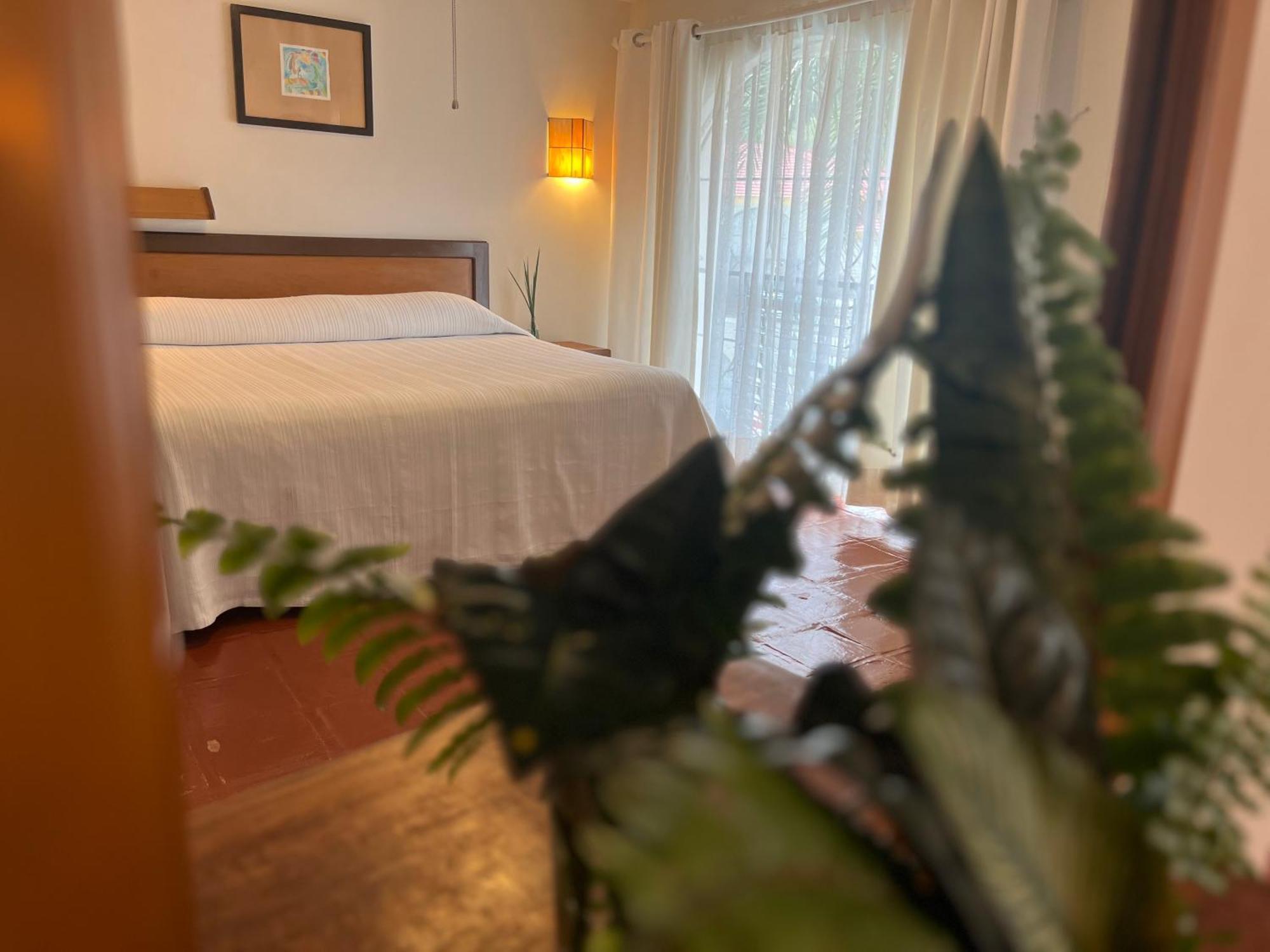 Hotel Ilebal Cuernavaca Centro - Lugar Con Encanto! Екстер'єр фото