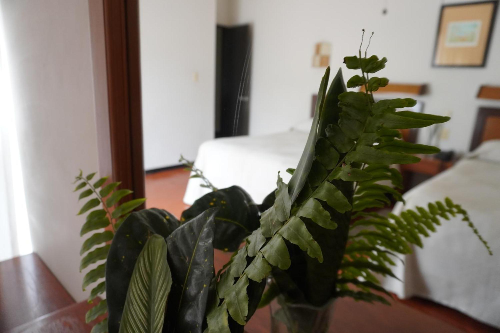 Hotel Ilebal Cuernavaca Centro - Lugar Con Encanto! Екстер'єр фото